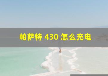 帕萨特 430 怎么充电